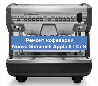 Чистка кофемашины Nuova Simonelli Appia II 1 Gr S от накипи в Челябинске